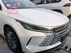 بی وای دی دیسترۆیەر 05